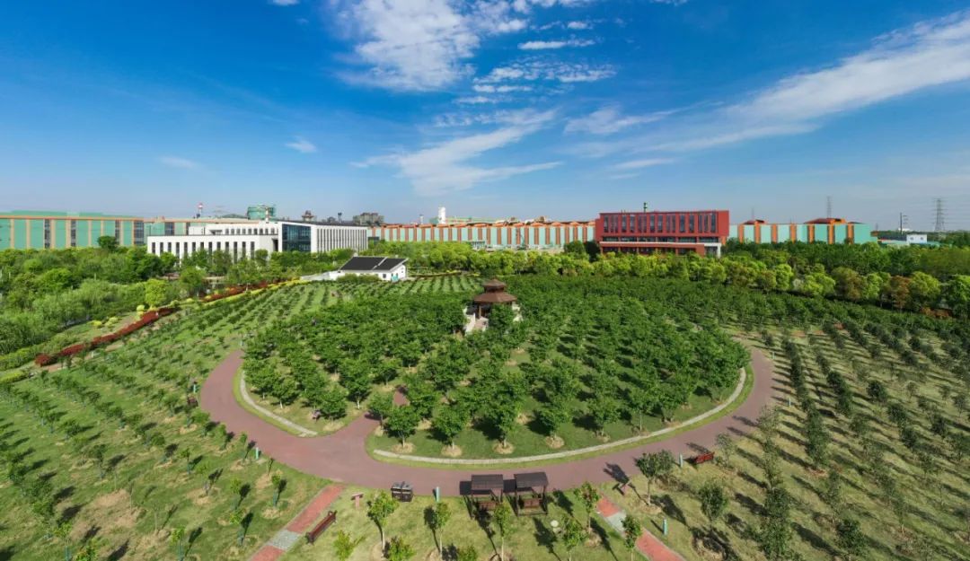 0?wx_fmt=png&amp;from=appmsg